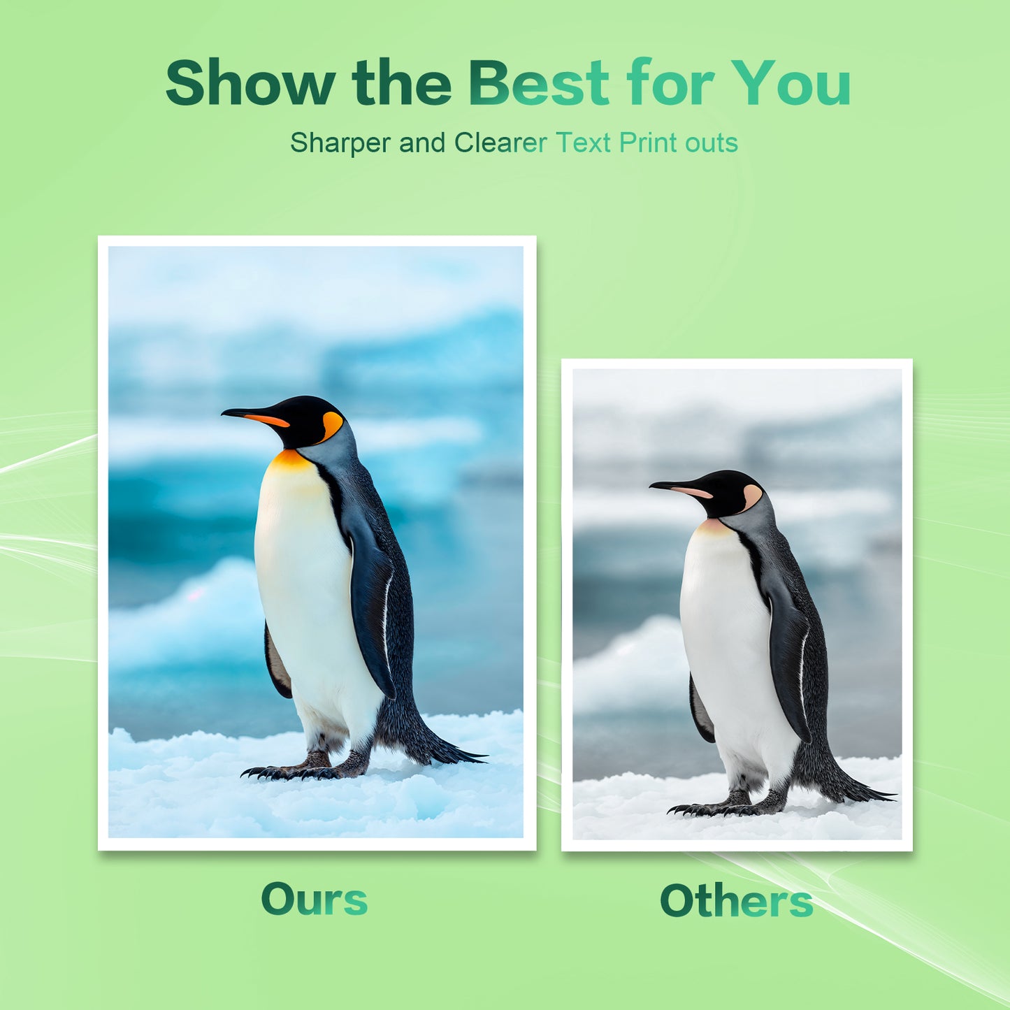 65XL Ink Cartridge Combo Pack Compatible for HP 65 Ink 65XL for DeskJet 3755 3772 Envy 5055 5052 Printer Ink 65